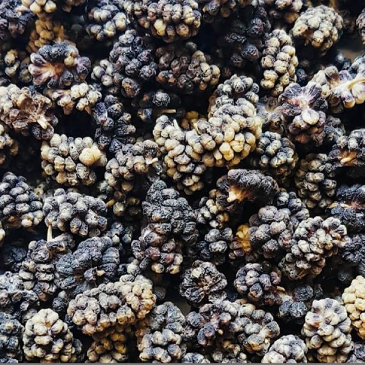 Sun-Dried Black mulberry